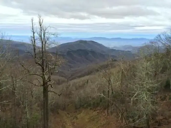 Camper-submitted photo at Curtis Creek Campground near Swannanoa, NC