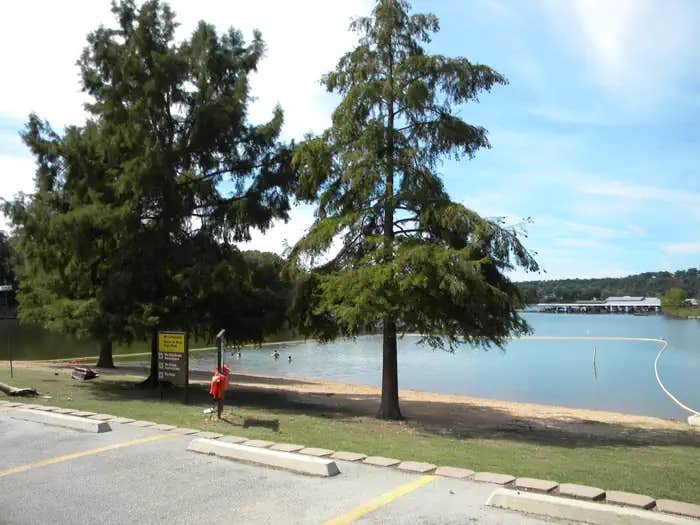 Camper submitted image from Cape Fair - 1