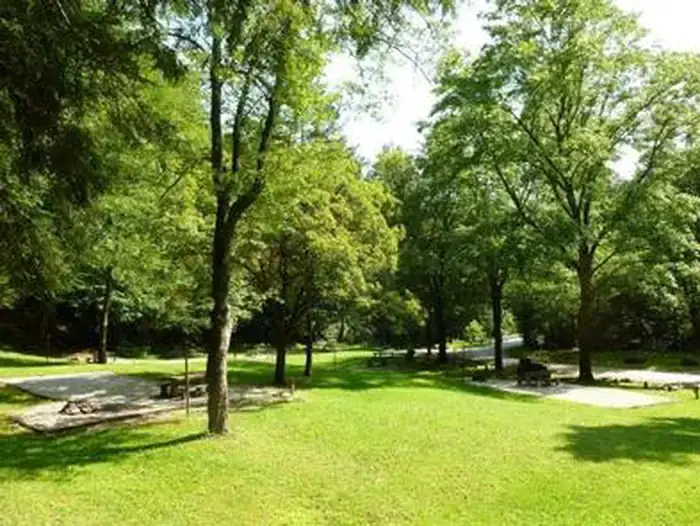 Camper-submitted photo at Curtis Creek Campground near Swannanoa, NC