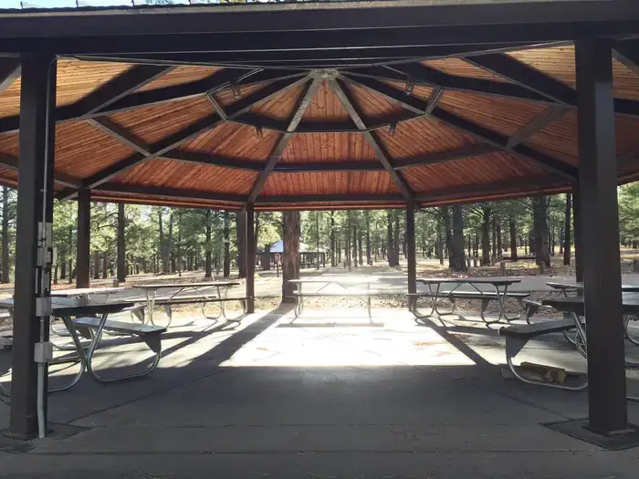 Camping near Grand Canyon Oasis: Oleary Group Site, Flagstaff, Arizona