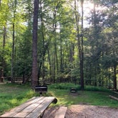 Review photo of Fall Creek Falls State Park Campground by Linda B., August 16, 2019