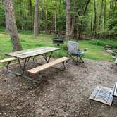 Review photo of Fall Creek Falls State Park Campground by Linda B., August 16, 2019