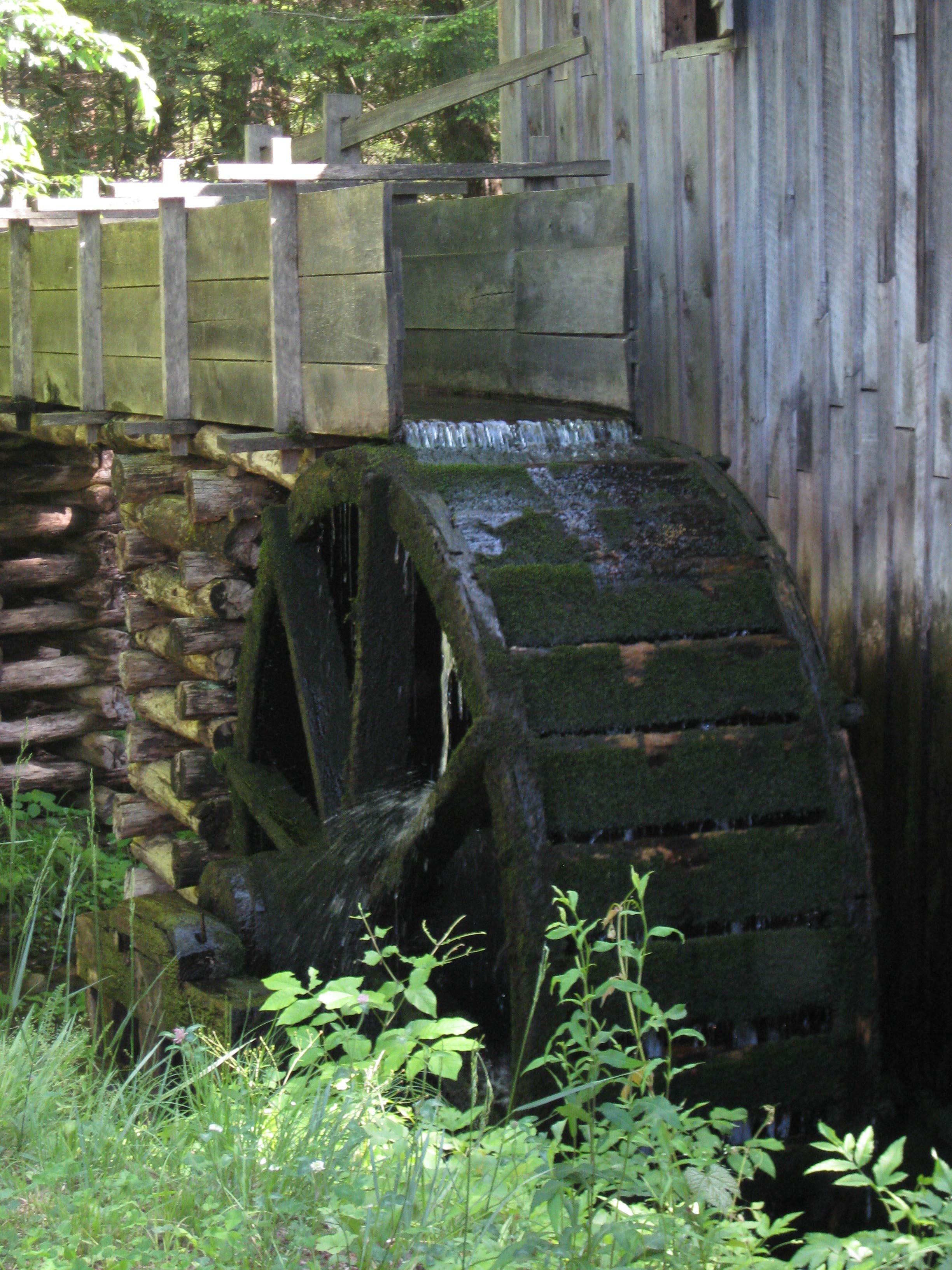 Michael K.'s photo of camping with pets at Elkmont Campground — Great Smoky Mountains National Park near Sylva, NC