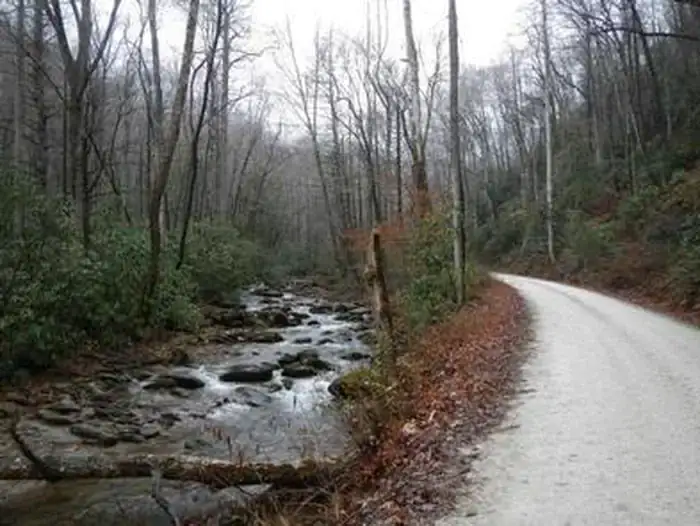 Camper-submitted photo at Curtis Creek Campground near Swannanoa, NC