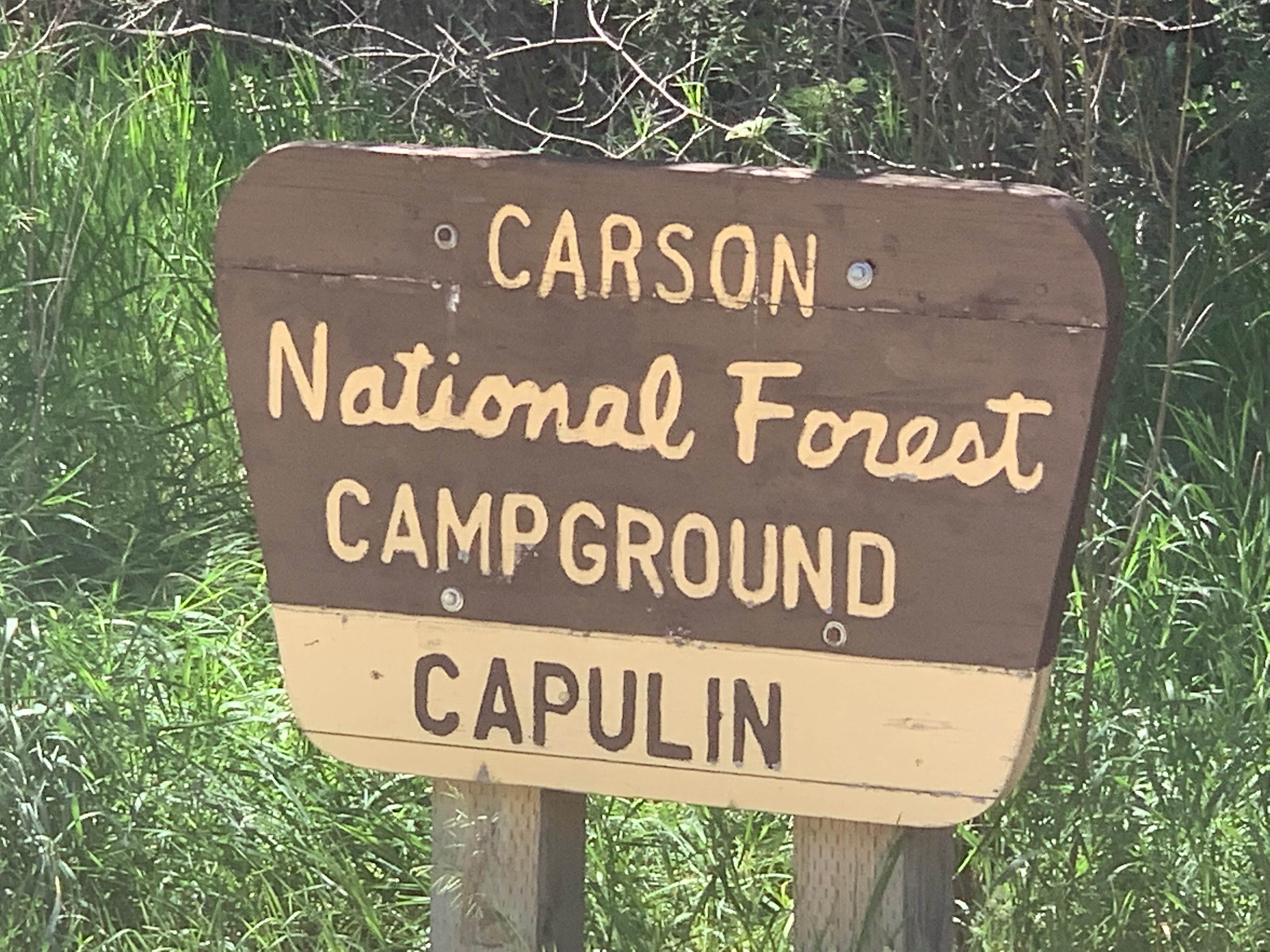 Camper submitted image from Capulin Campground - 4