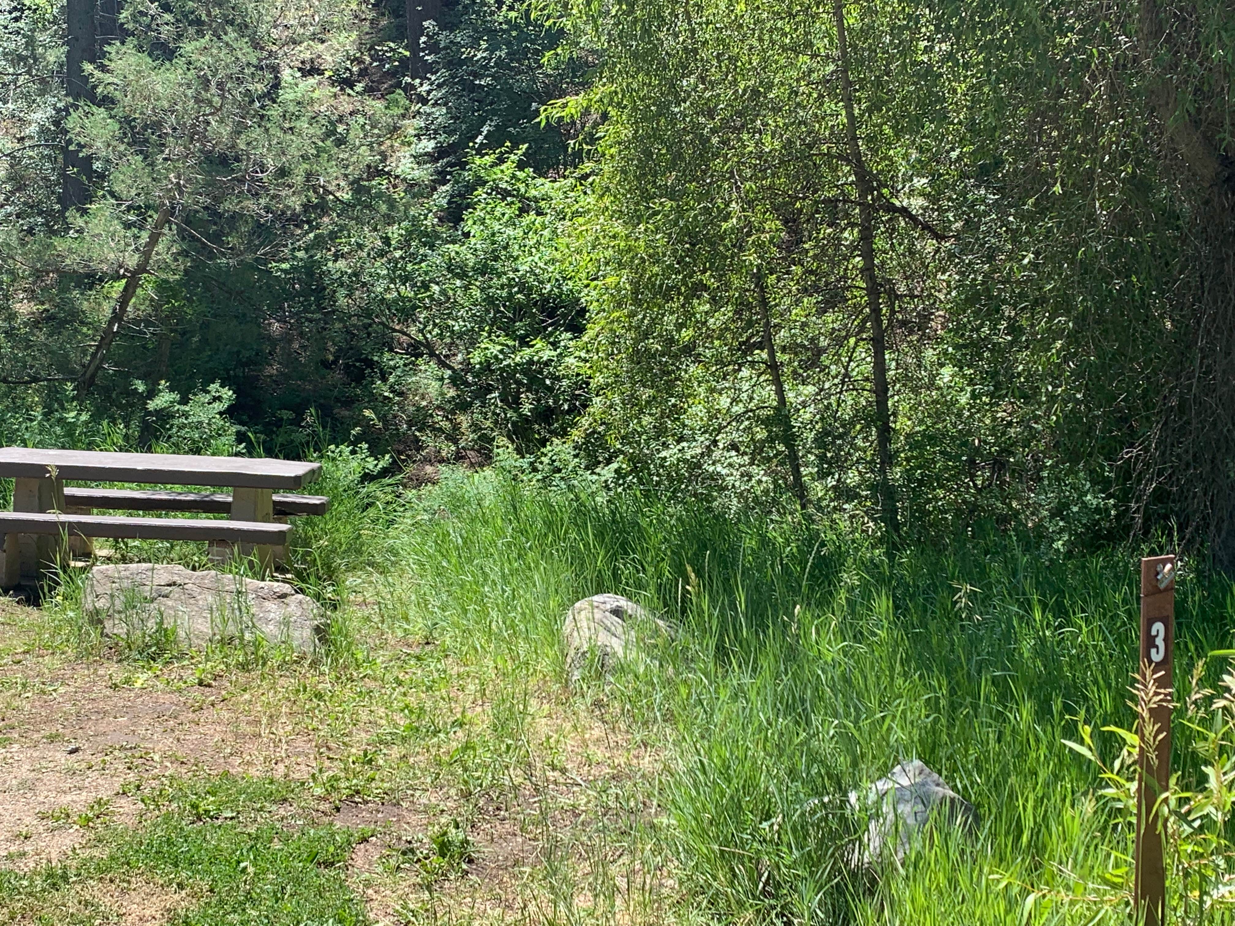 Nature