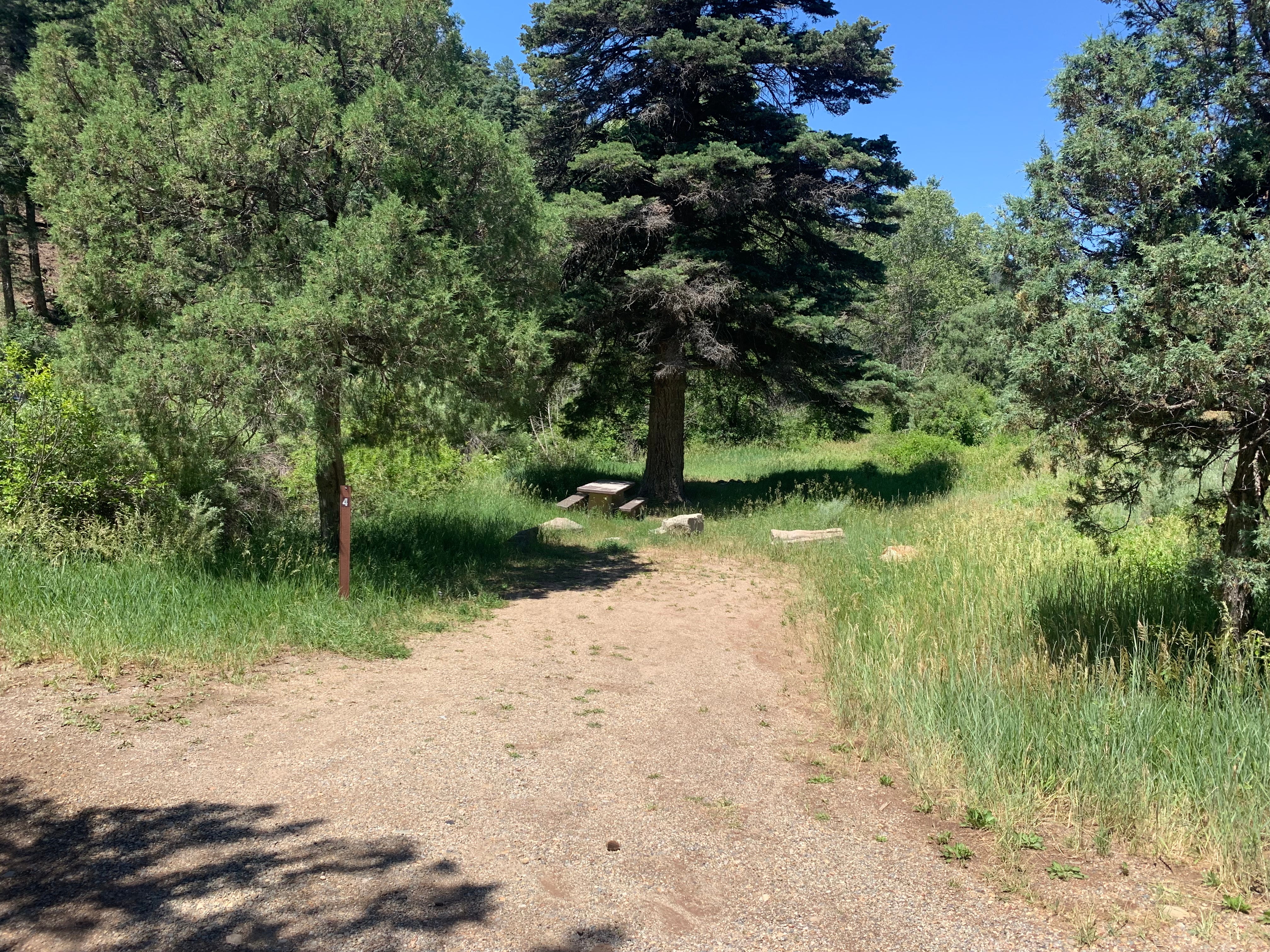 Camper submitted image from Capulin Campground - 3