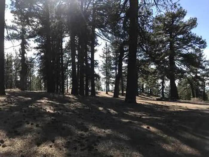 Camper submitted image from Campo Alto Campground - 1