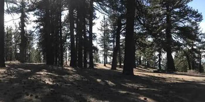 Camper submitted image from Campo Alto Campground