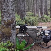 Review photo of Cape Lookout State Park Campground by Ryan W., August 16, 2019