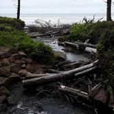 Review photo of Cape Lookout State Park Campground by Ryan W., August 16, 2019