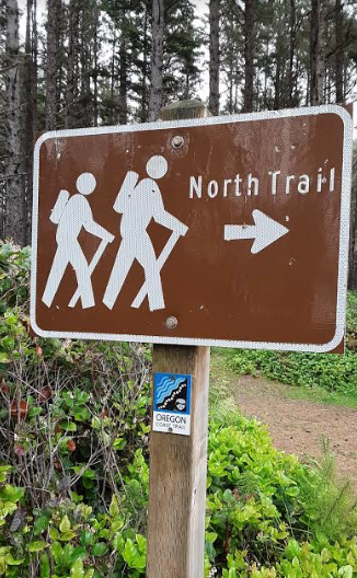Camper submitted image from Cape Lookout State Park Campground - 5