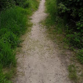 Review photo of Cape Lookout State Park Campground by Ryan W., August 16, 2019