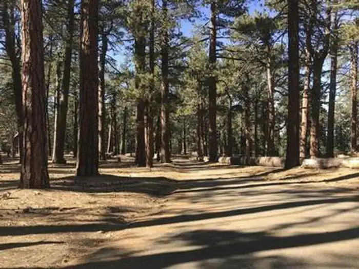 Camper-submitted photo at Campo Alto Campground near Maricopa, CA