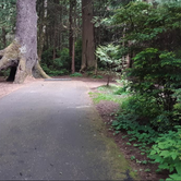 Review photo of Cape Lookout State Park Campground by Ryan W., August 16, 2019