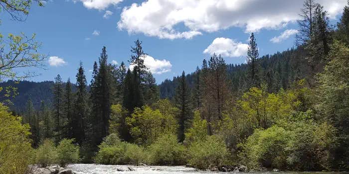 Camper submitted image from Fiddle Creek