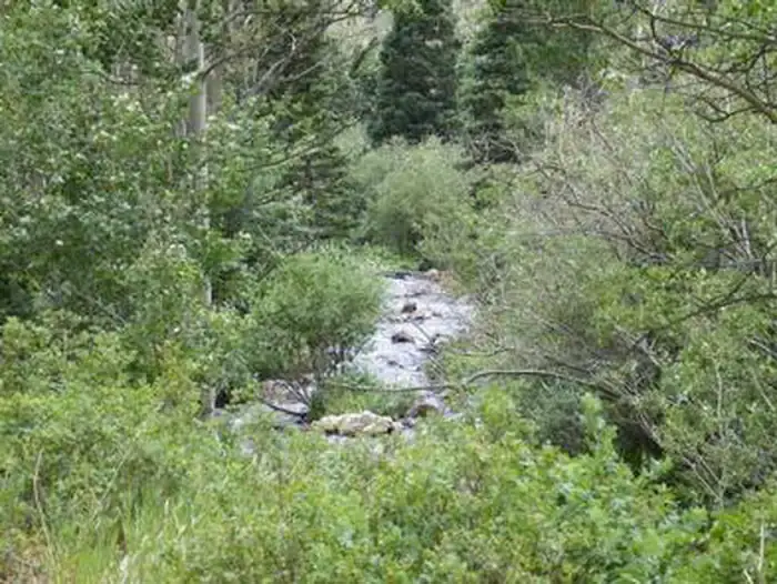 Camper-submitted photo at Purgatoire Campground near Trinidad, CO