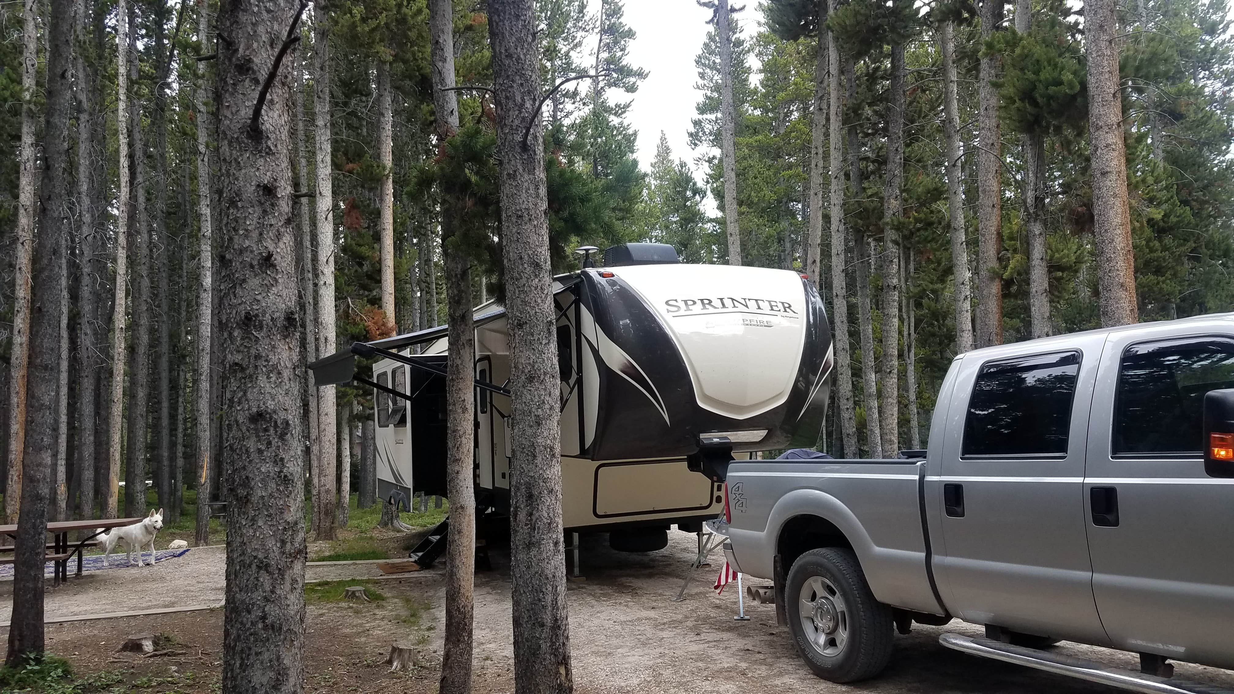 Kathi V.'s photo of rv camping at Bighorn National Forest Tie Flume Campground near Greybull, WY