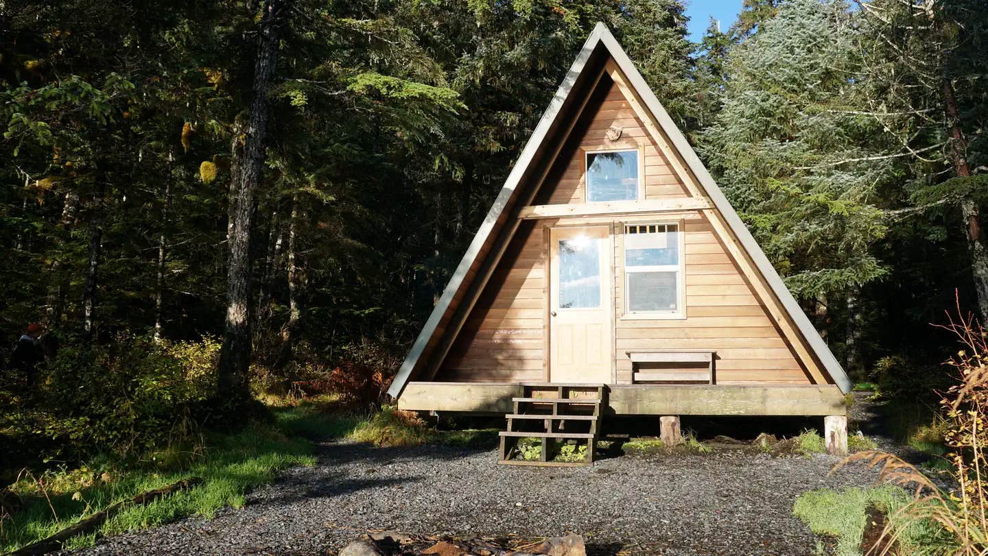 Camper submitted image from Pigot Bay Cabin - 1