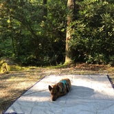 Review photo of Honey Bear Campground by Julie C., August 16, 2019