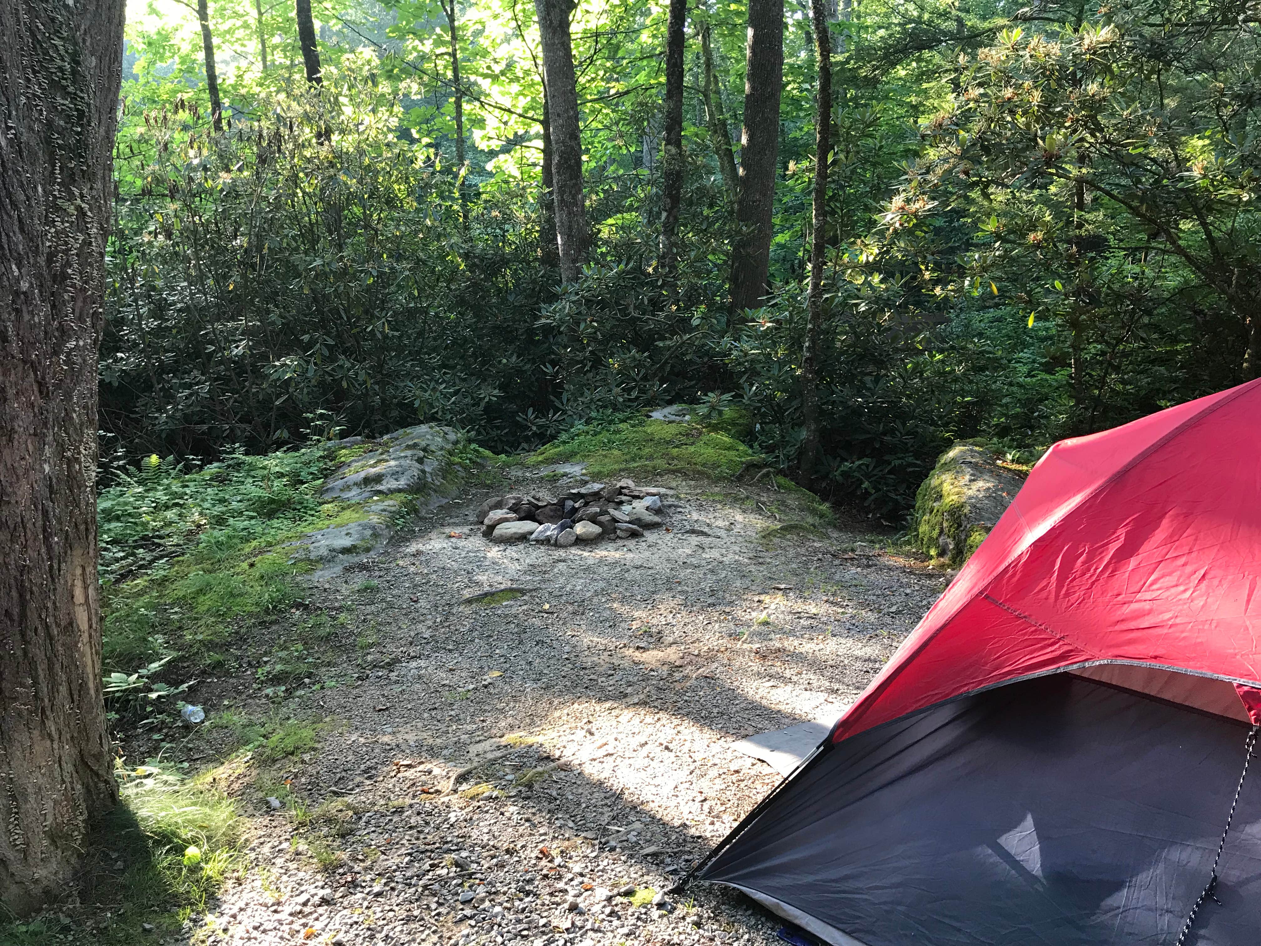 Julie C.'s photo at Honey Bear Campground near Banner Elk, NC
