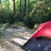 Review photo of Honey Bear Campground by Julie C., August 16, 2019