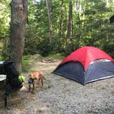 Review photo of Honey Bear Campground by Julie C., August 16, 2019