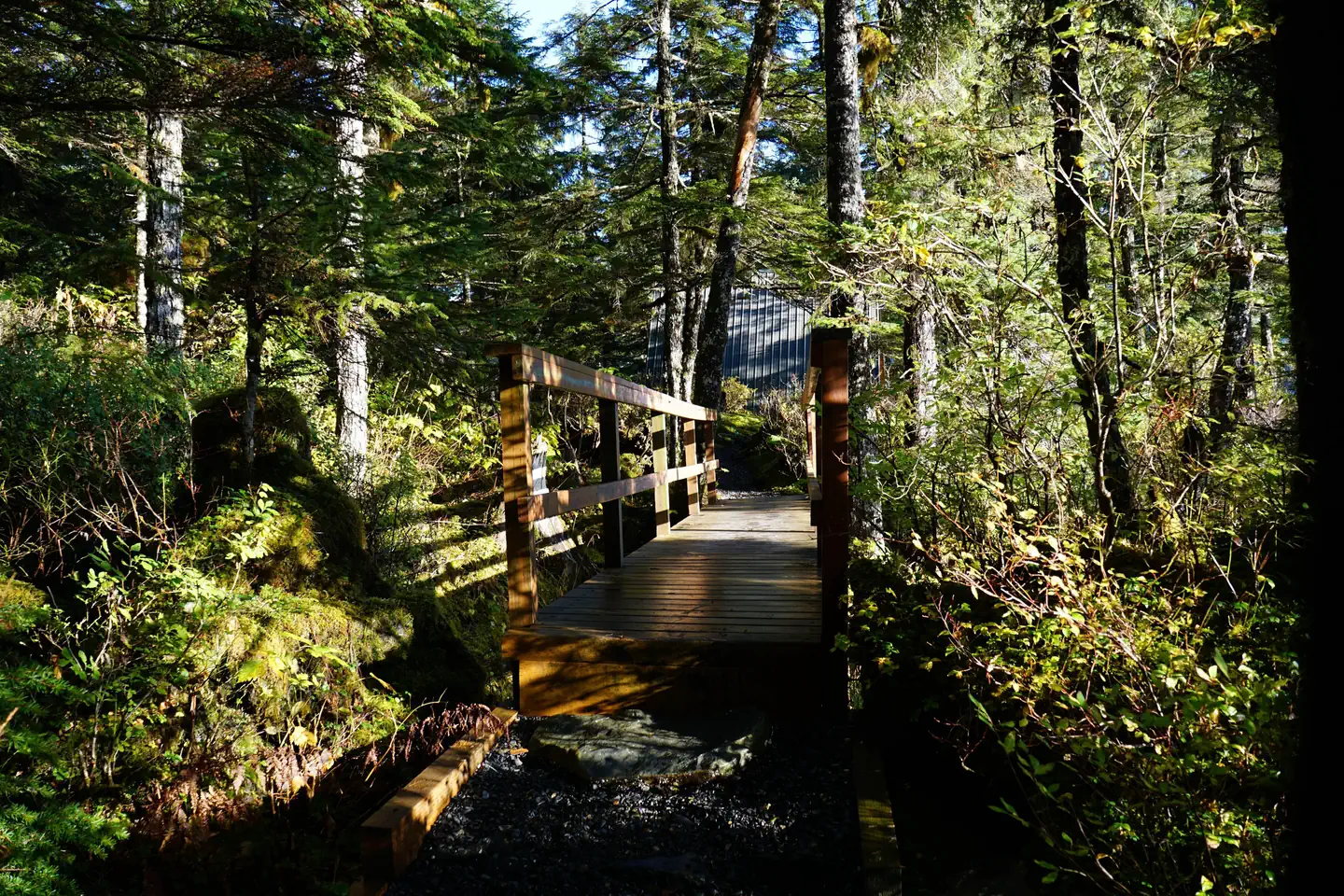 Camper-submitted photo at Pigot Bay Cabin near Whittier, AK