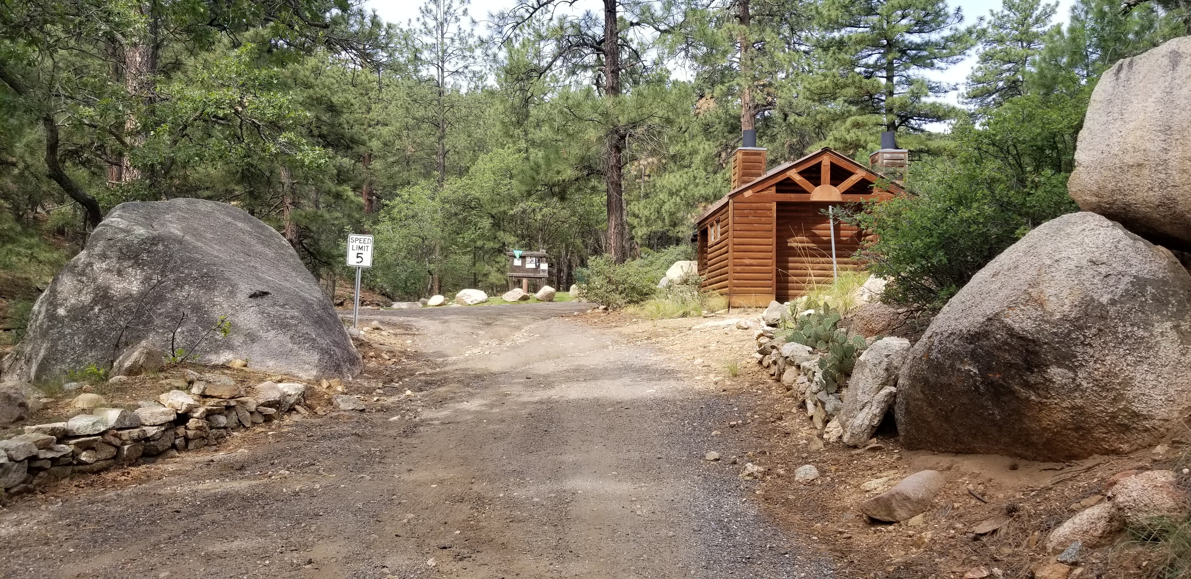 Camper submitted image from Wild Cow Springs Campground - 5