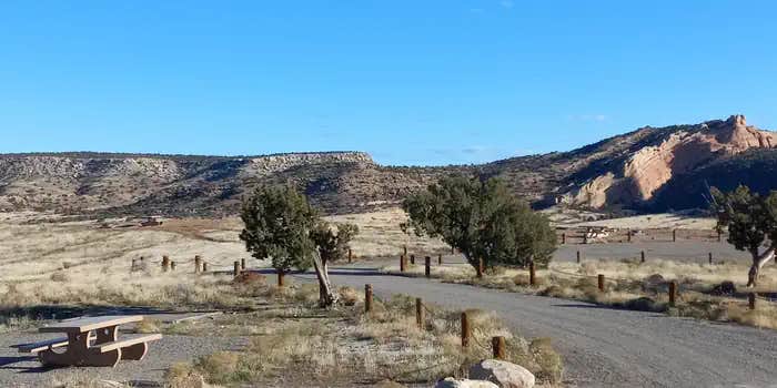 Camper submitted image from Rabbit Valley — Mc Innis Canyons National Conservation Area