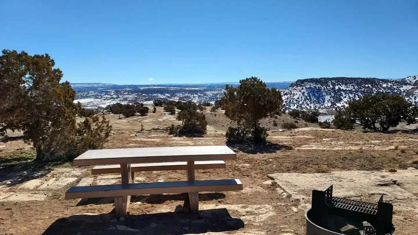 Camper-submitted photo at Rabbit Valley — Mc Innis Canyons National Conservation Area near Fruita, CO