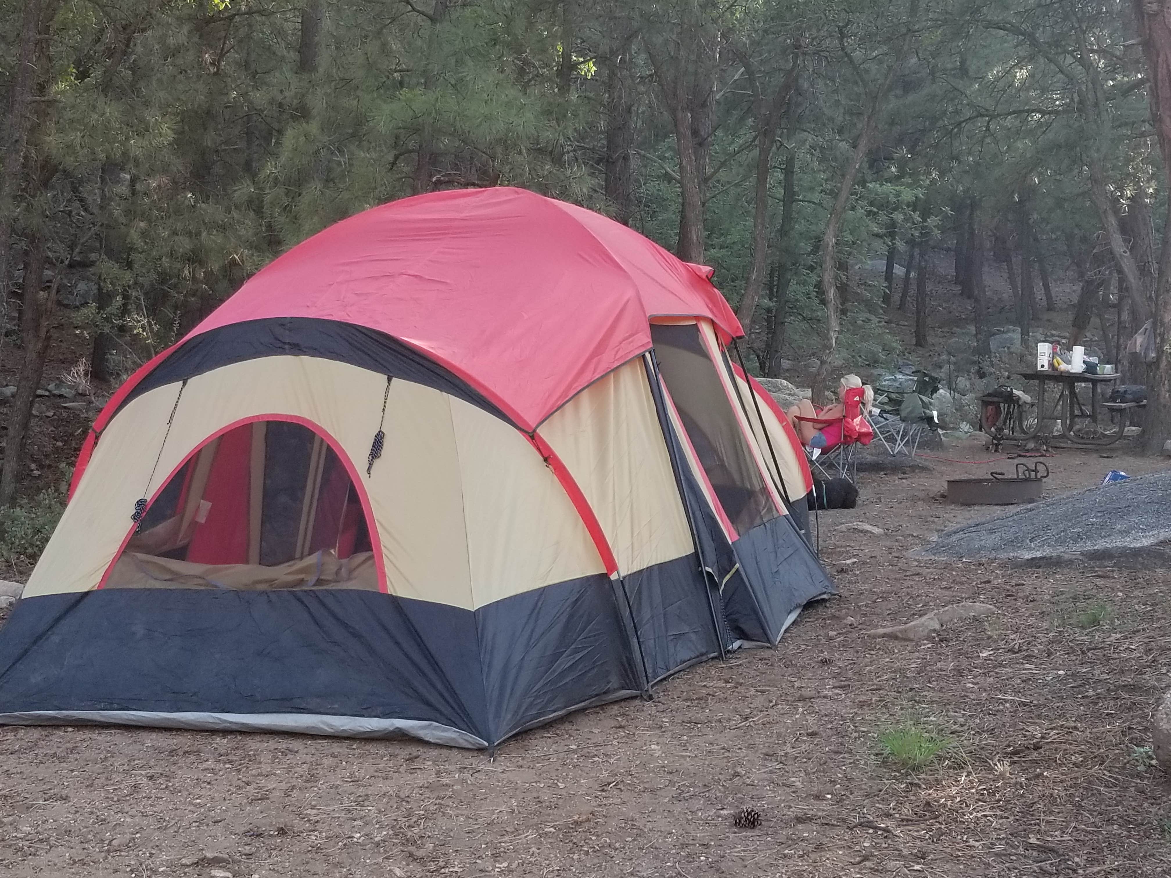 Camper submitted image from Wild Cow Springs Campground - 4