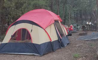 Jeff C.'s photo at Wild Cow Springs Campground near Yucca, AZ