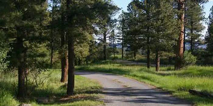 Camper submitted image from Greendale - Ashley National Forest