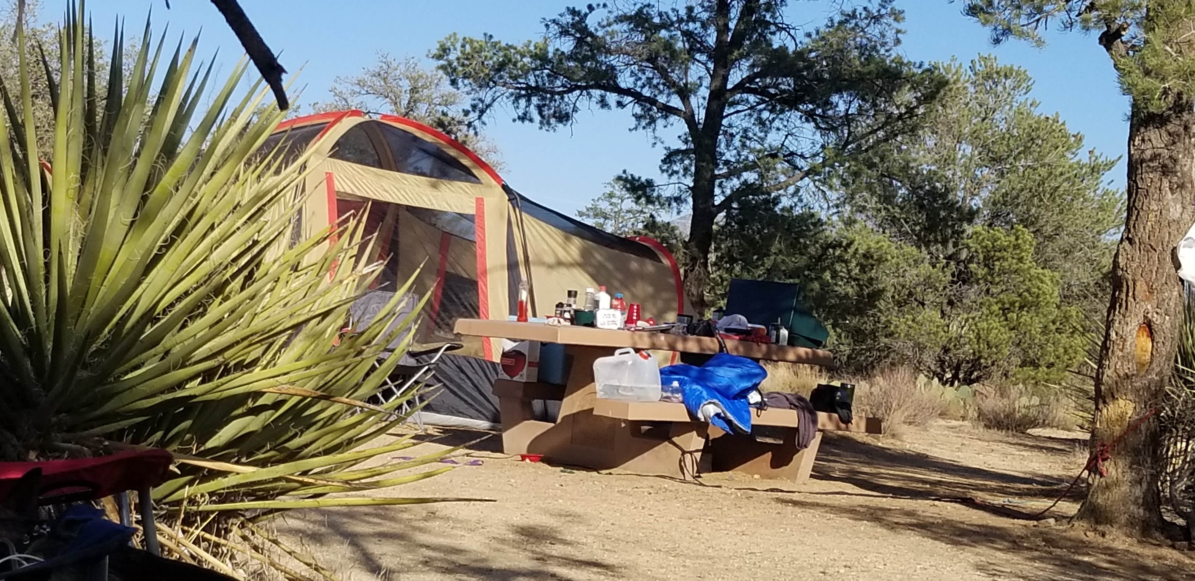 Pinyon Flat Campground | The Dyrt