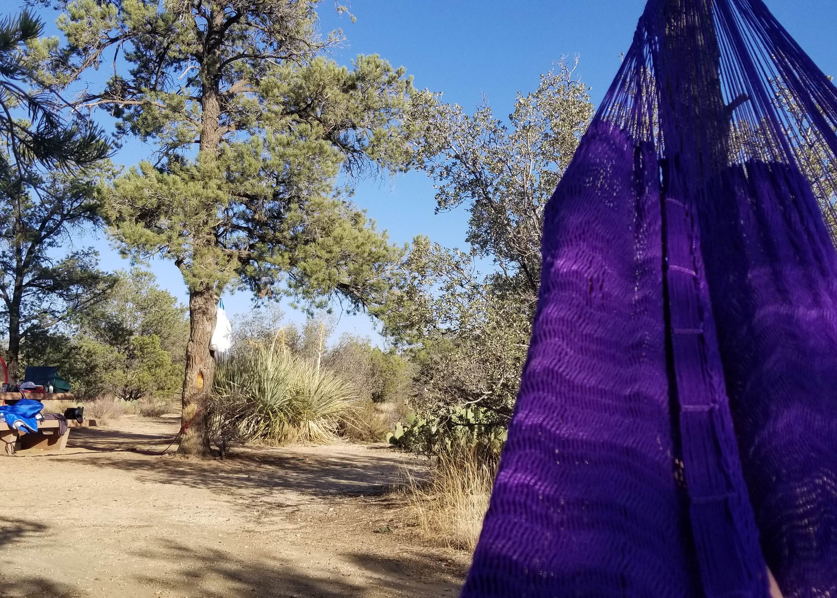 Pinyon Flat Campground Camping | The Dyrt