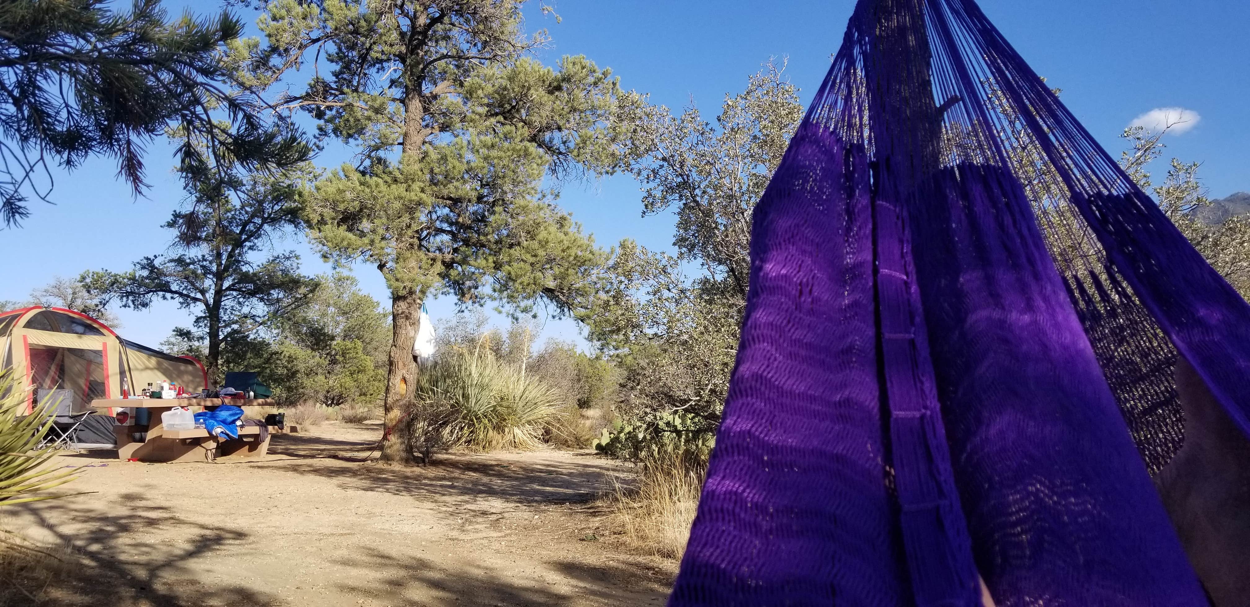 Camper submitted image from Pinyon Flat Campground (San Bernardino National Forest) — San Bernardino National Forest - 3