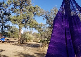 Pinyon Flat Campground