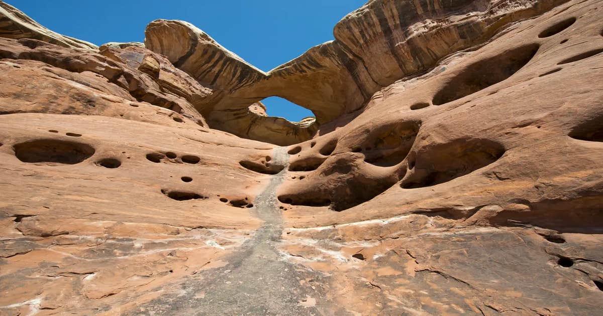 The Needles Campground — Canyonlands National Park