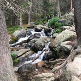 Review photo of Goblin's Forest Goblin's Forest — Rocky Mountain National Park by Molly Y., August 16, 2019