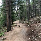 Review photo of Goblin's Forest Goblin's Forest — Rocky Mountain National Park by Molly Y., August 16, 2019