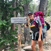 Review photo of Goblin's Forest Goblin's Forest — Rocky Mountain National Park by Molly Y., August 16, 2019