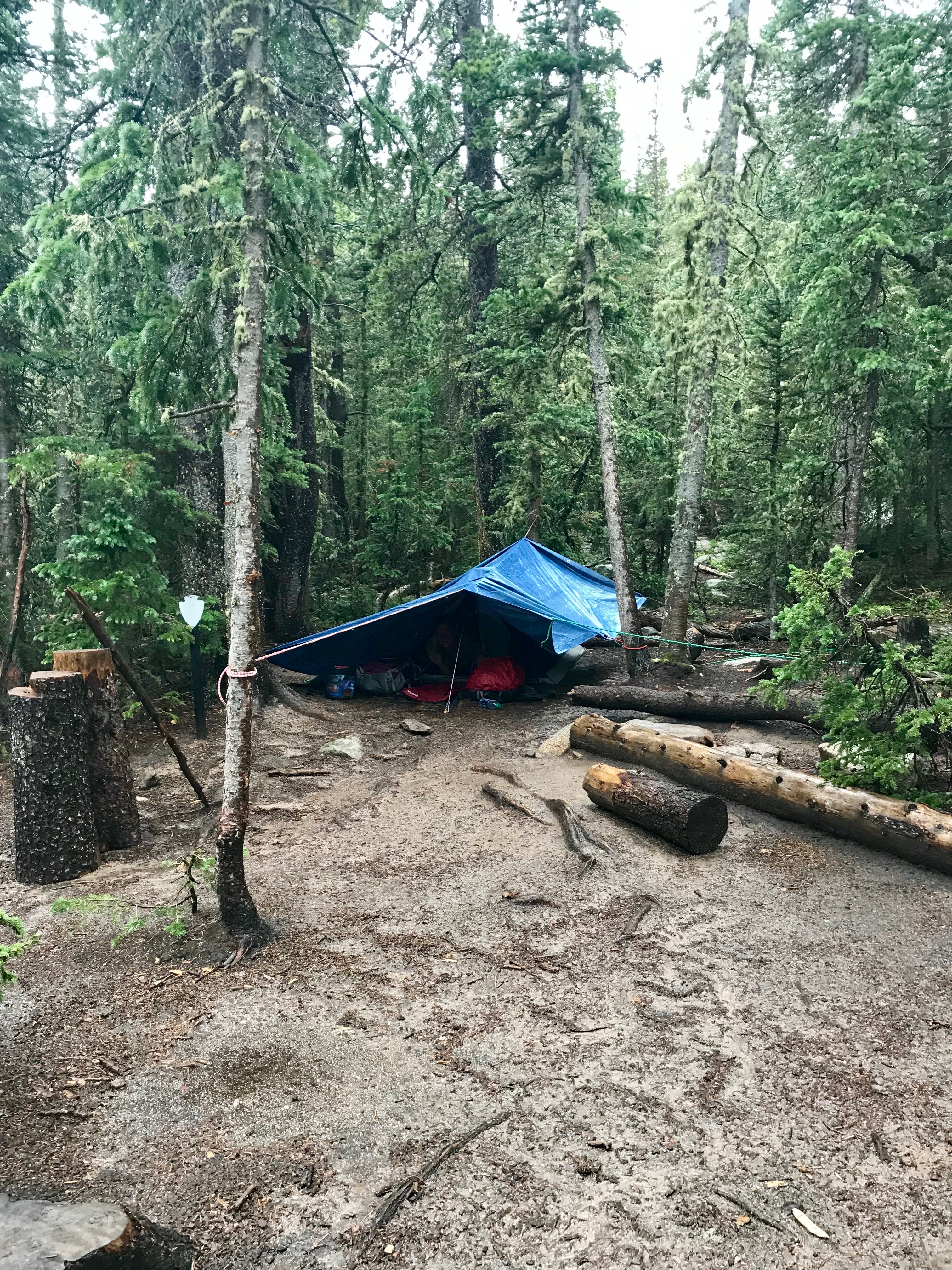 Camper submitted image from Goblin's Forest Goblin's Forest — Rocky Mountain National Park - 4