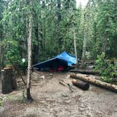 Review photo of Goblin's Forest Goblin's Forest — Rocky Mountain National Park by Molly Y., August 16, 2019