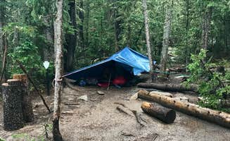 Molly Y.'s photo at Goblin's Forest Goblin's Forest — Rocky Mountain National Park near Allenspark, CO