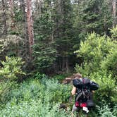 Review photo of Goblin's Forest Goblin's Forest — Rocky Mountain National Park by Molly Y., August 16, 2019