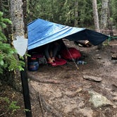 Review photo of Goblin's Forest Goblin's Forest — Rocky Mountain National Park by Molly Y., August 16, 2019