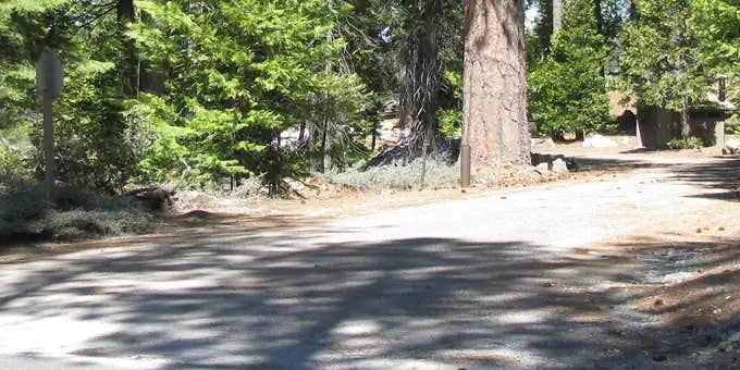 Camper submitted image from Pioneer Trail