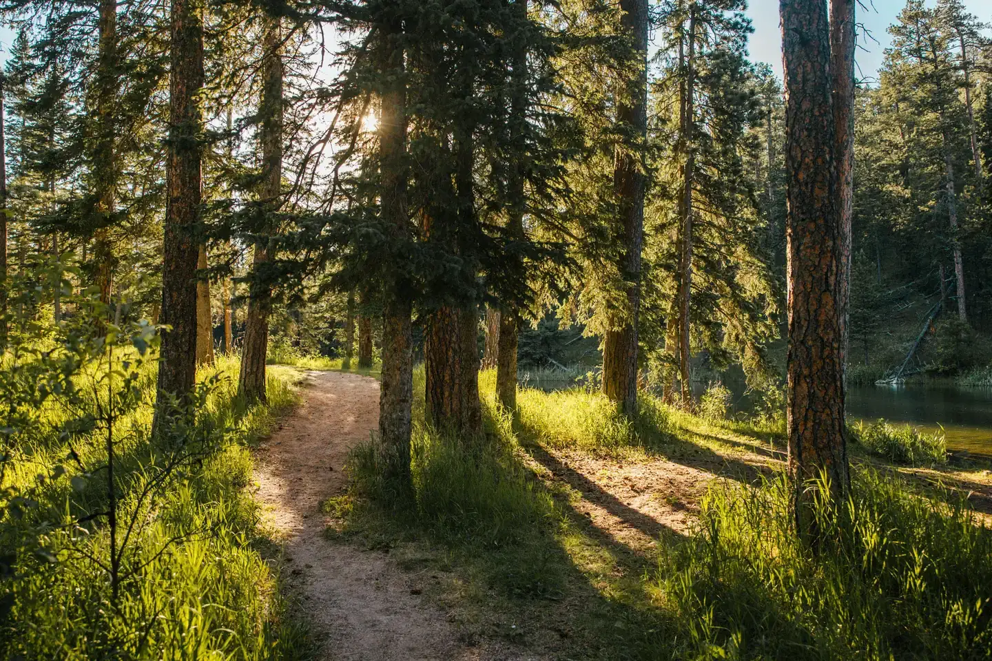 Camper-submitted photo at Dalton Lake Campground — Black Hills National Forest near Piedmont, SD