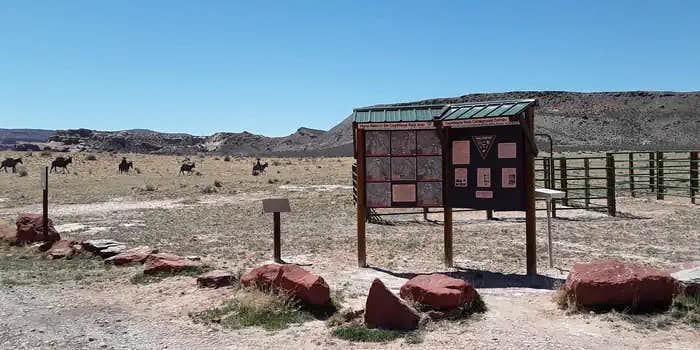 Camper submitted image from Courthouse Rock